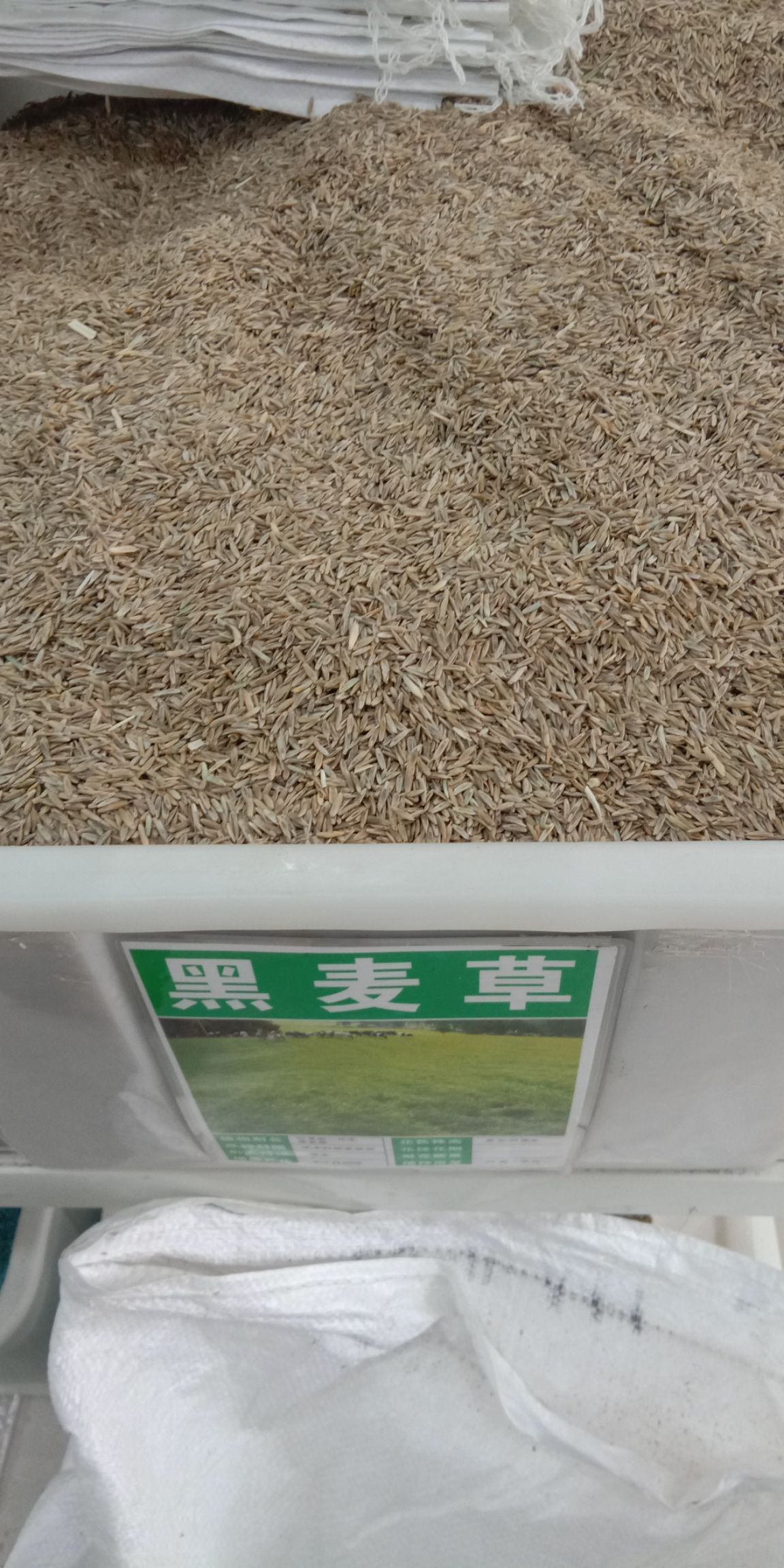 苹果手机种子下载_(iphone手机种子下载)