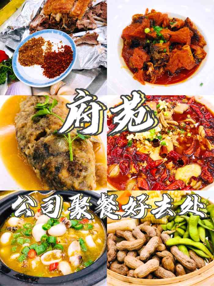 美食七街直播视频下载网站(美食七街直播视频下载网站免费)
