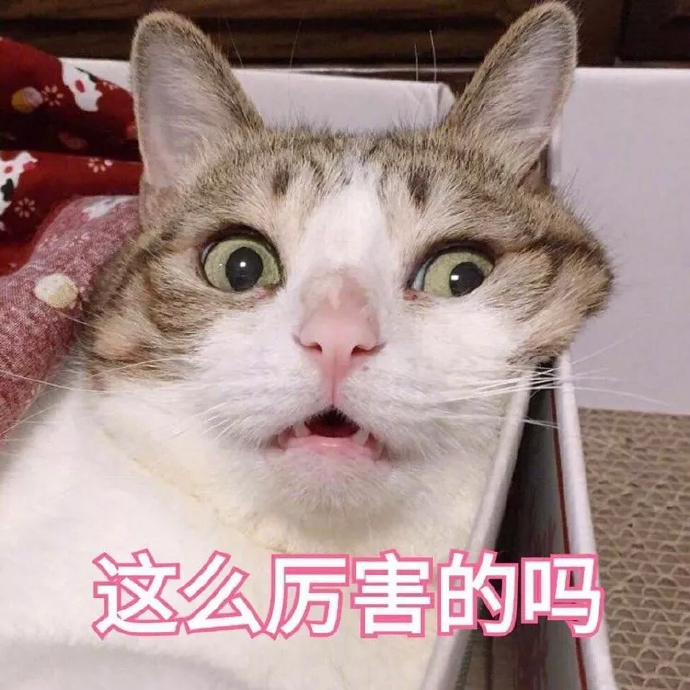 萌宠惊呆视频大全下载_(萌宠惊呆视频大全下载软件)