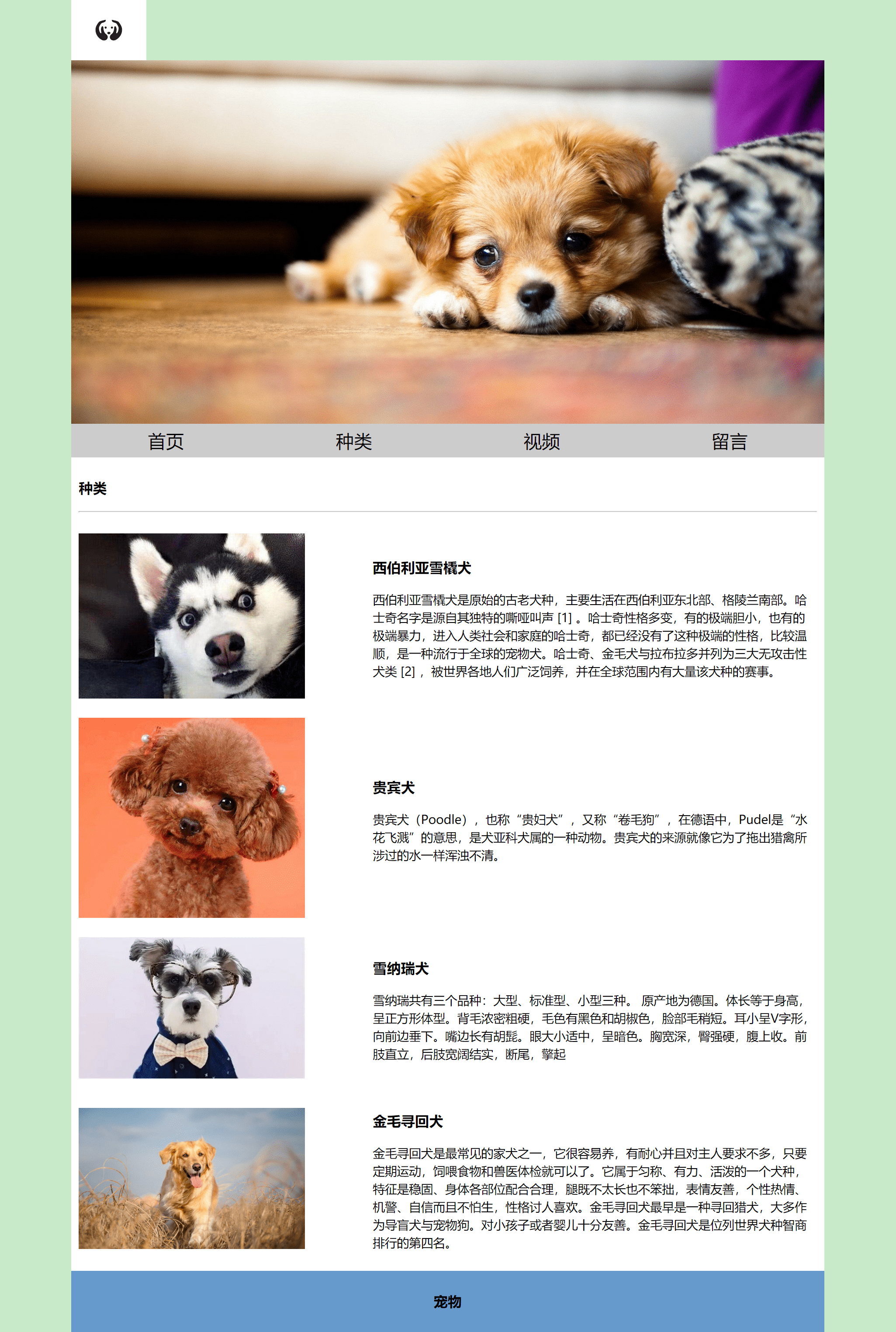 网页模板下载_(网页模板下载免费)